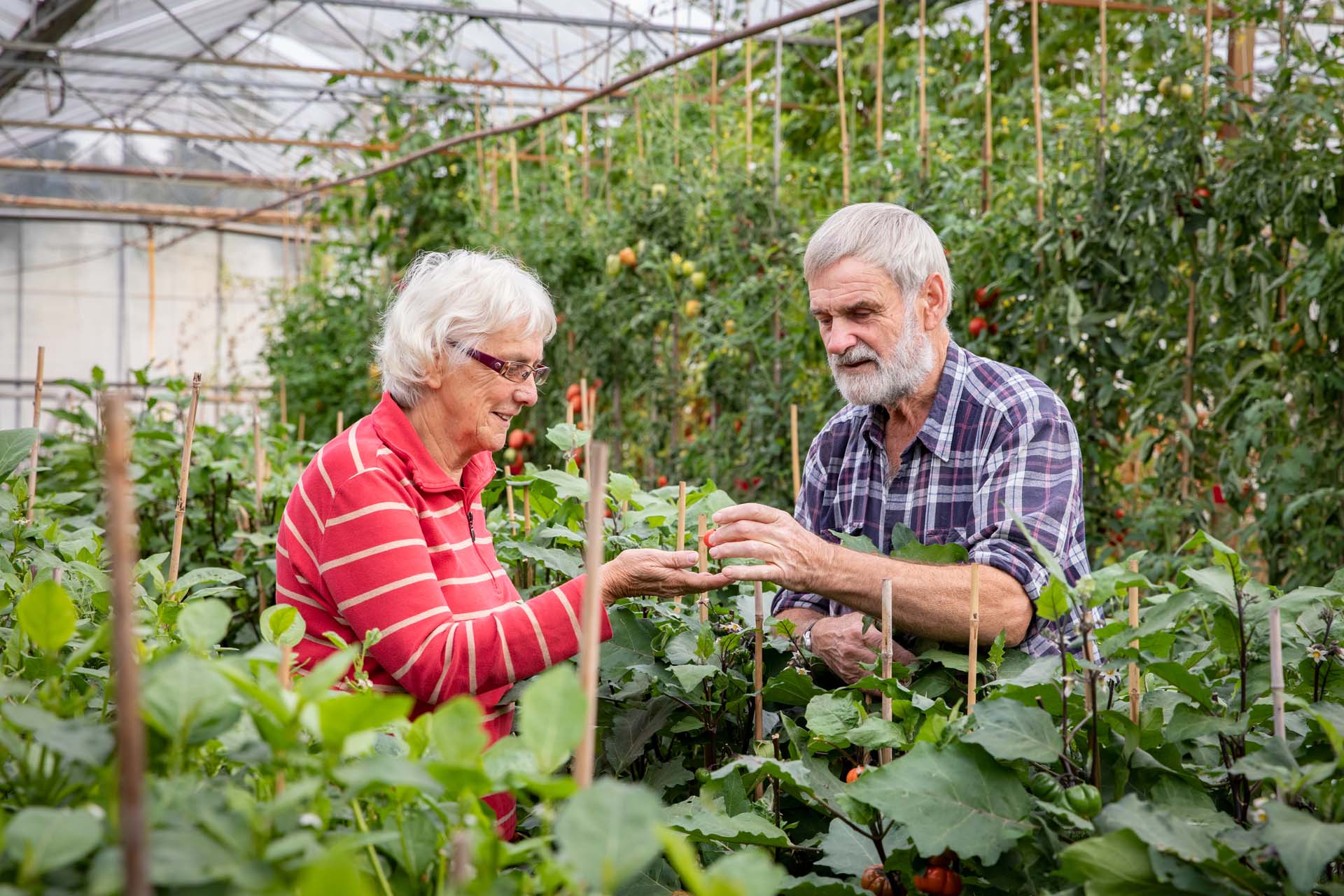 Gespreksgroep voor partners van mensen met dementie